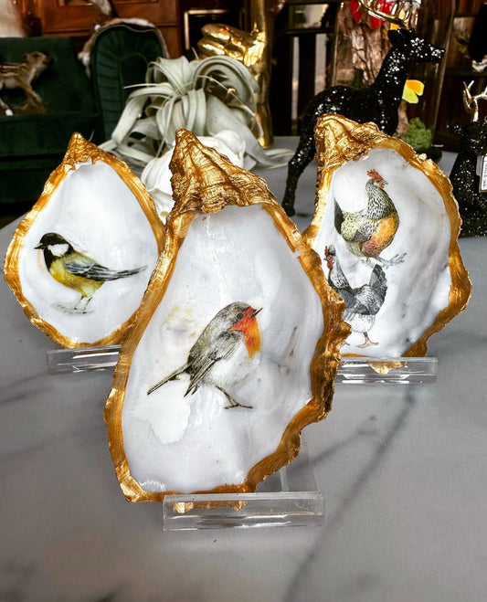 Oesters decoreren – een unieke en creatieve workshop!