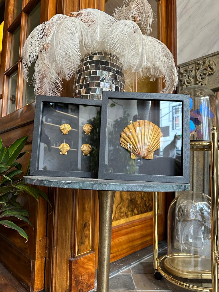 Gouden schelpen in lijst
