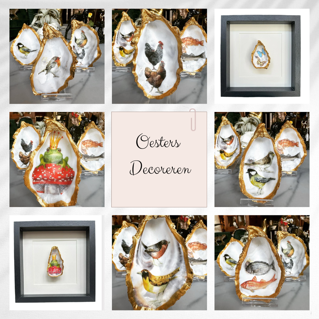 Oesters decoreren – een unieke en creatieve workshop!