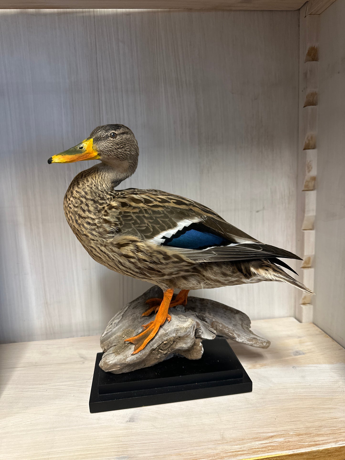 Opgezette Wilde eend