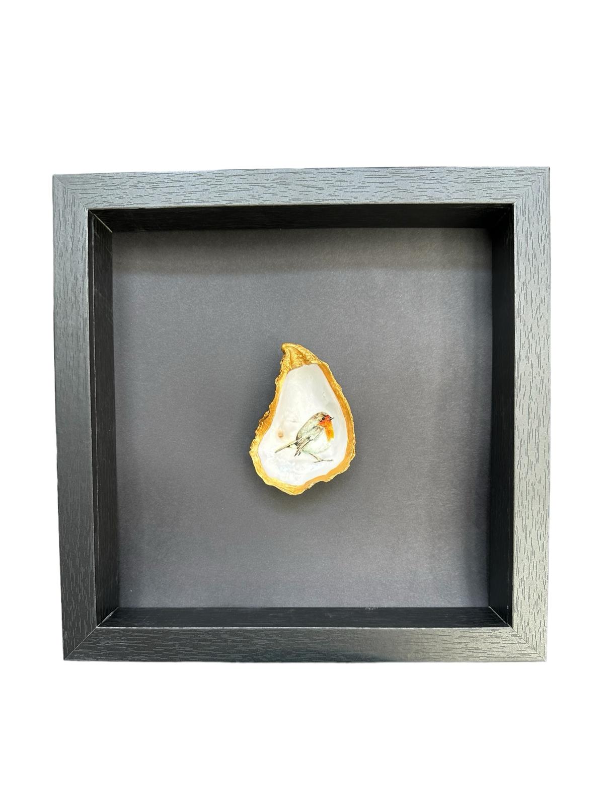 Gouden oester met roodborst - ingelijst met wit achtergrond