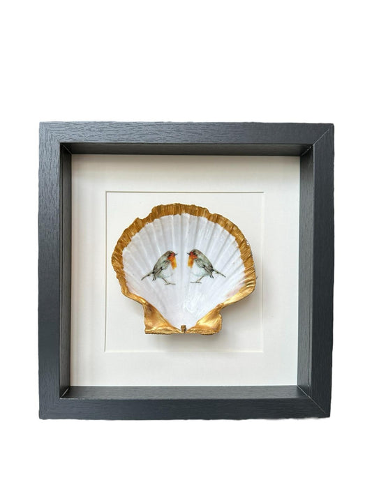 Sint-jacobsschelp met roodborst 2x - ingelijst zwart achtergrond