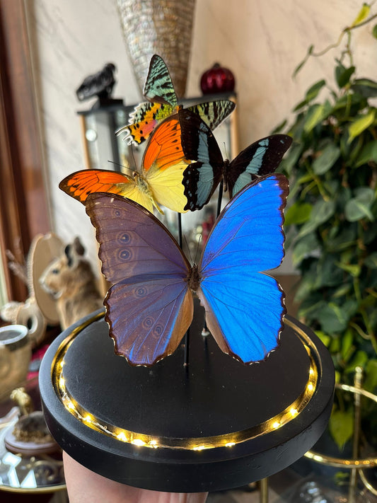 Zomer stolp - met verlichting