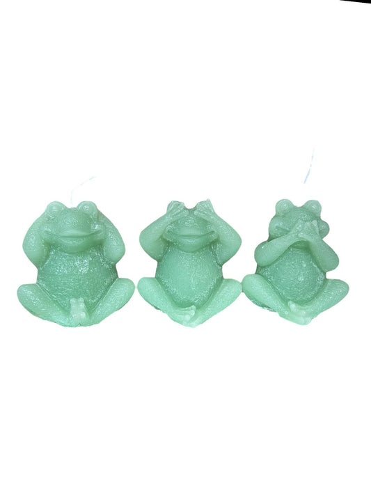 Kikkers horen, zien, zwijgen - Kaarsen