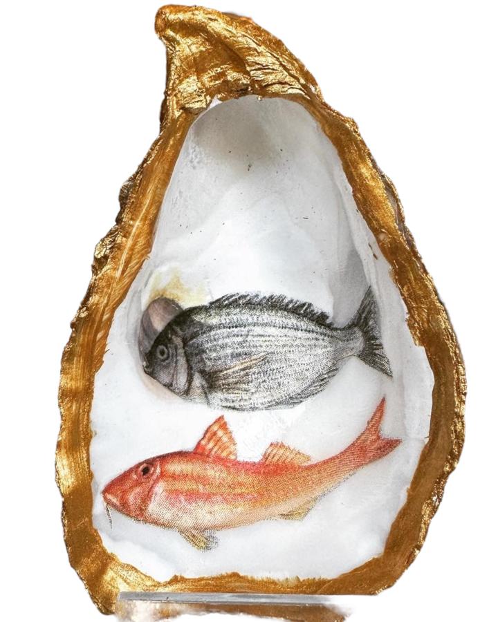 Gouden oester - Vis 2x