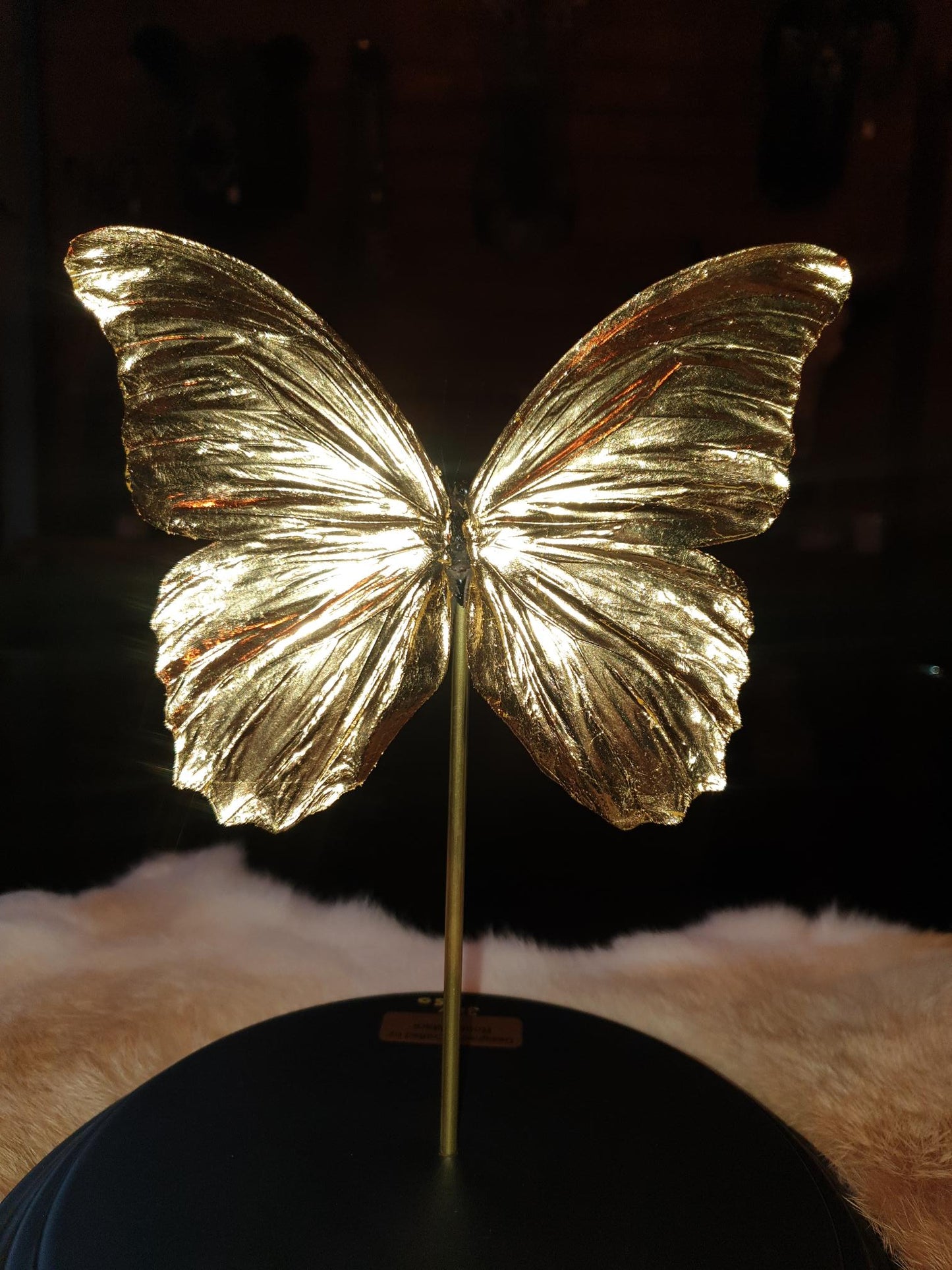 24-karaats gouden Morpho didius