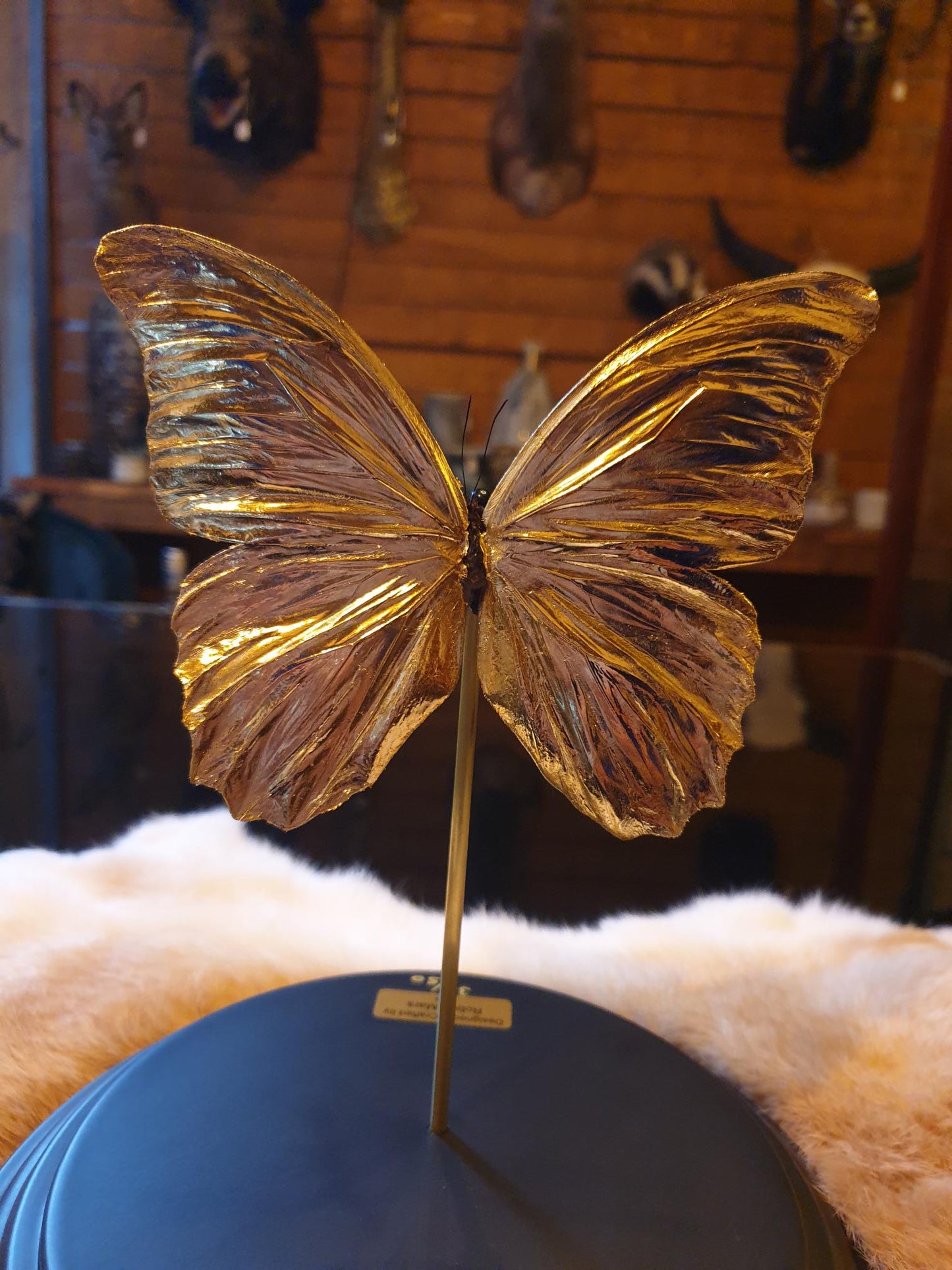 24-karaats gouden Morpho didius