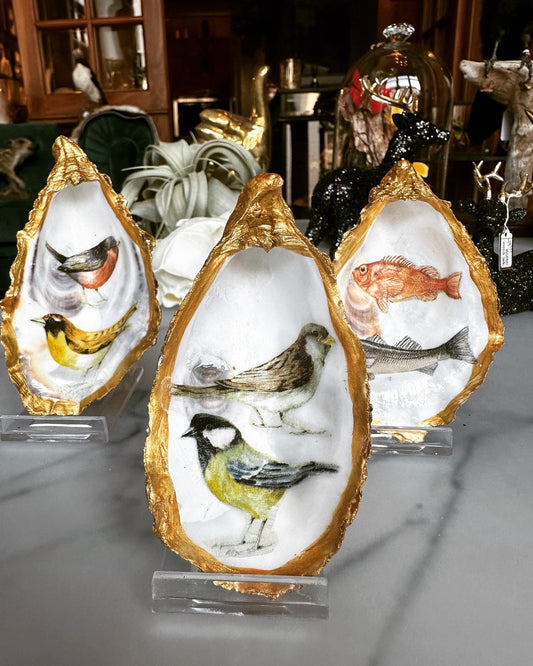 Gouden oester - Mus en koolmees