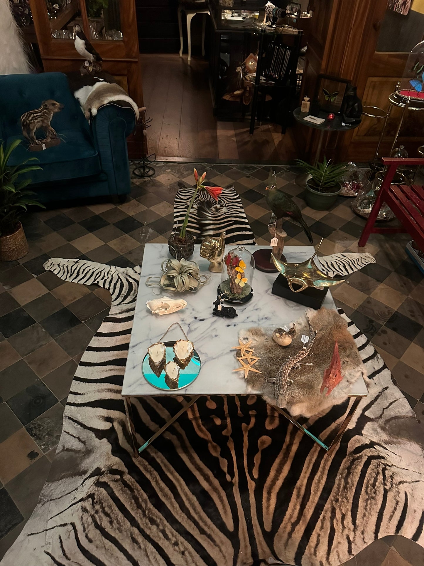 Zebrahuid
