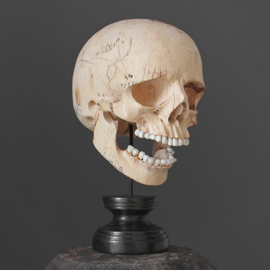 Schedel handgesneden in tamarindehout