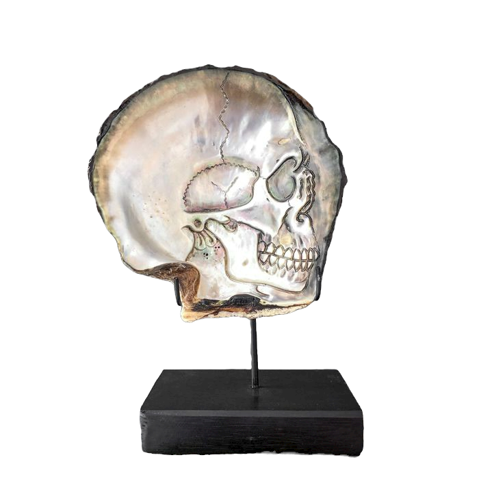 Gegraveerde parelmoer schelp - Schedel