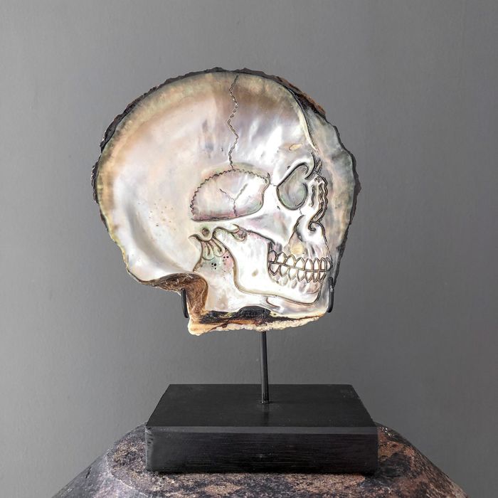 Gegraveerde parelmoer schelp - Schedel
