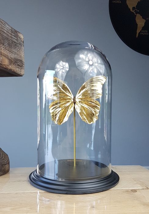 24-karaats gouden Morpho didius