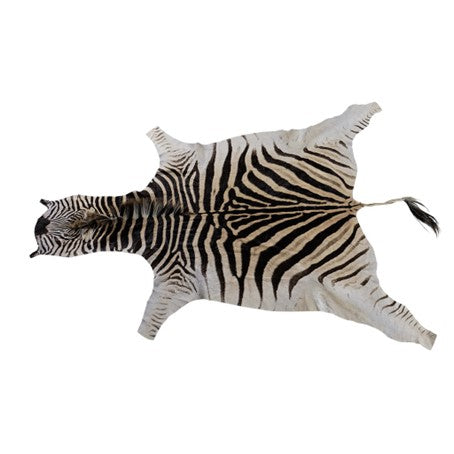 Zebrahuid