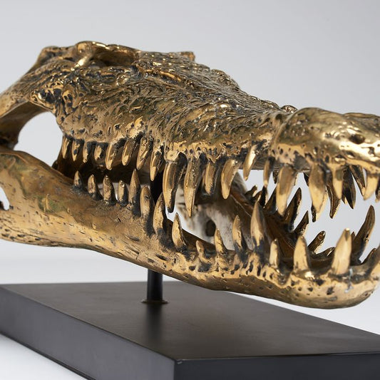 Zoutwaterkrokodil schedel - Gepolijst Brons