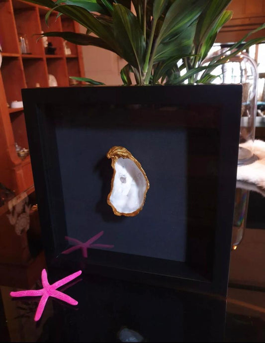 Gouden oester met parel in lijst- Groot