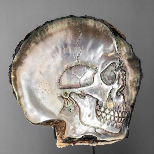 Gegraveerde parelmoer schelp - Schedel