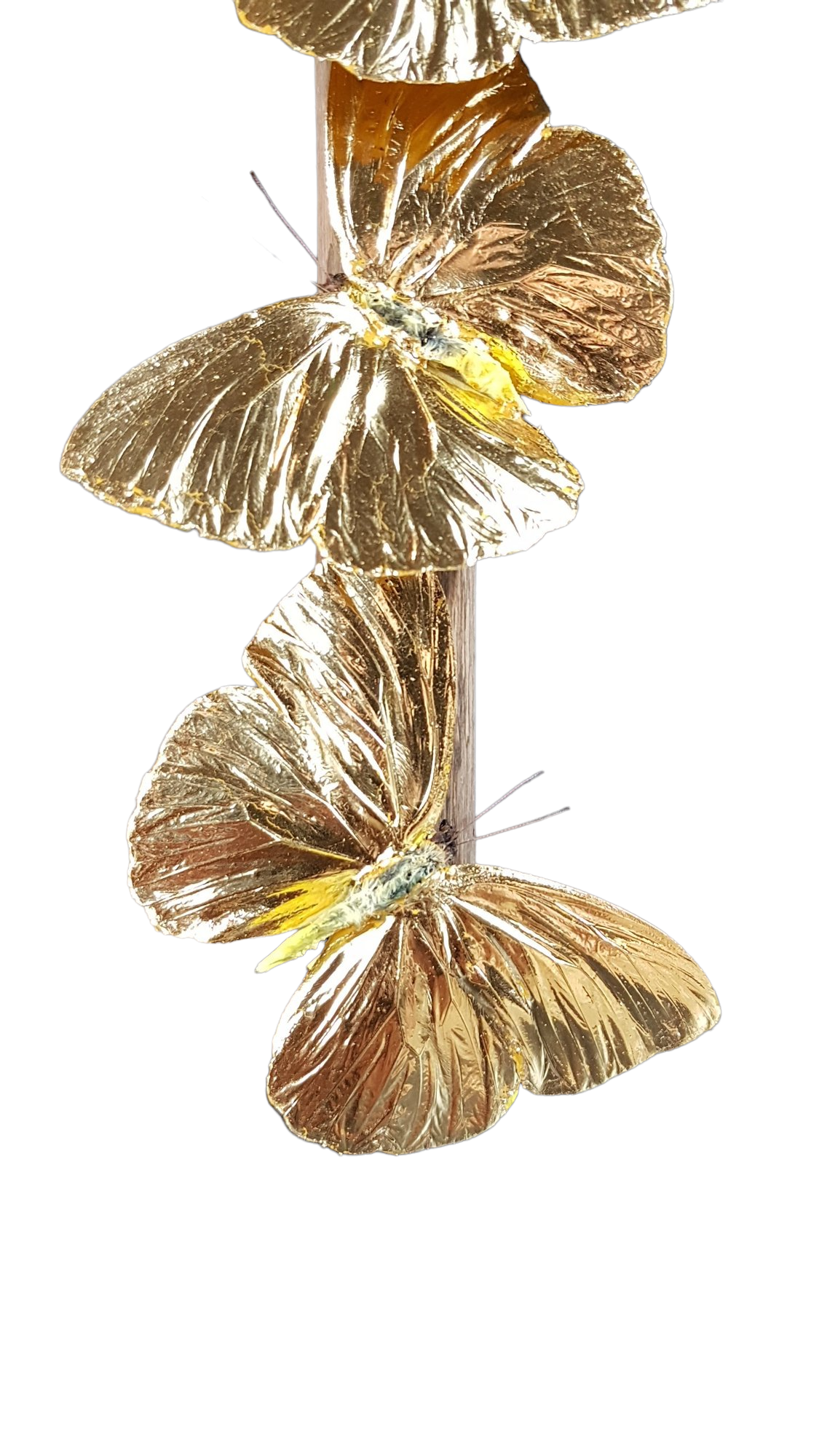 24-karaats gouden Phoebis Philea 3x