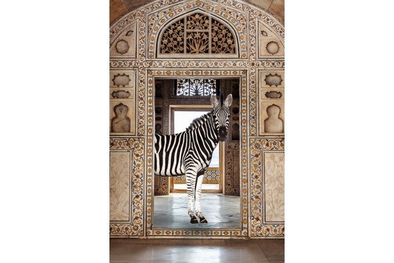 Glas schilderij zebra