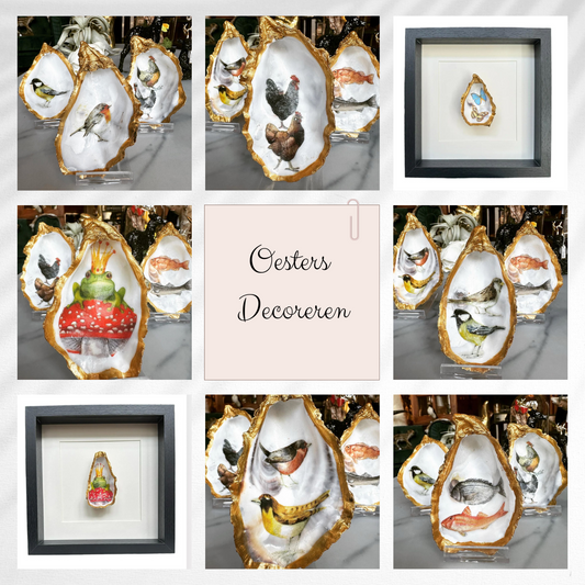 Oesters decoreren – een unieke en creatieve workshop!
