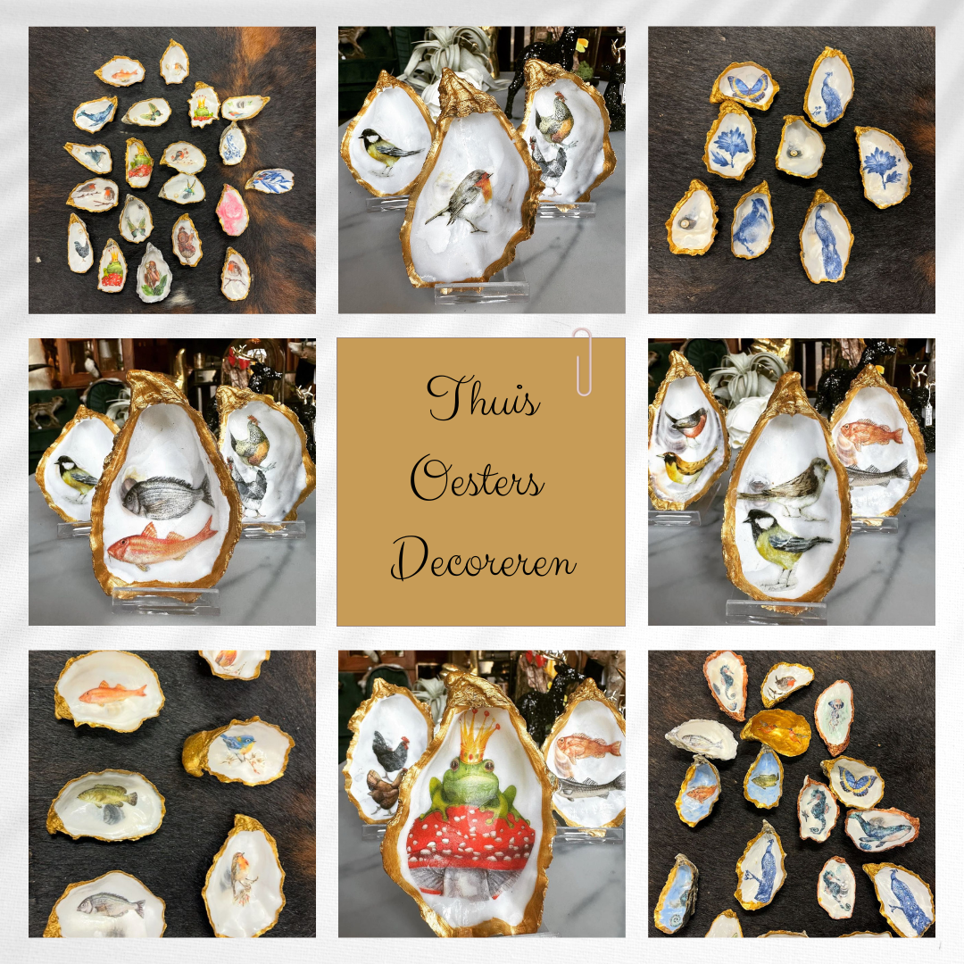 DIY - Oesters decoreren workshop thuis - 2 personen (20-delig)