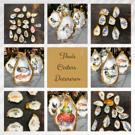 DIY - Oesters decoreren workshop thuis - 2 personen (20-delig)