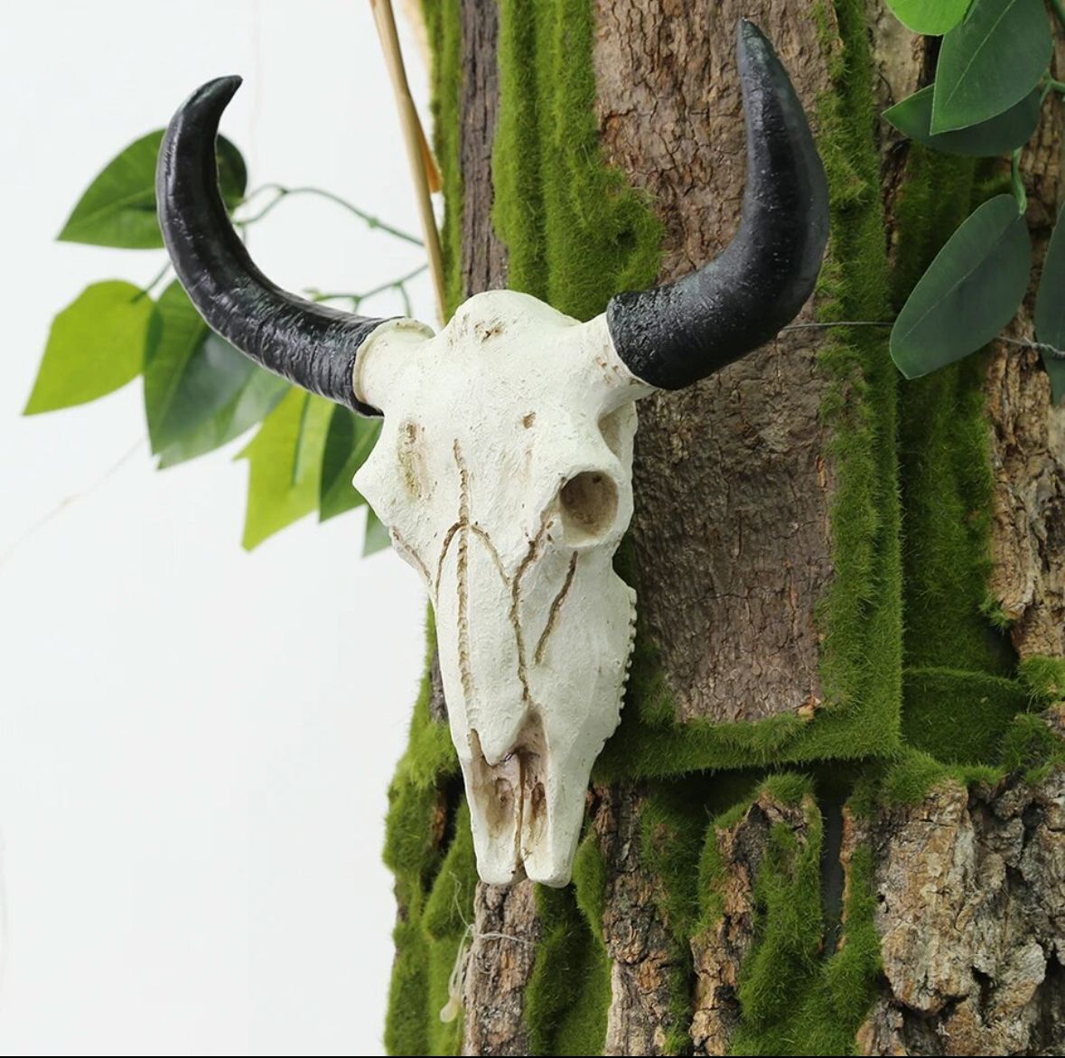 Waterbuffel schedel - replica