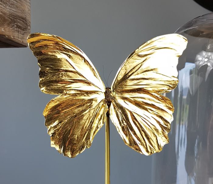 Gouden Vlinder