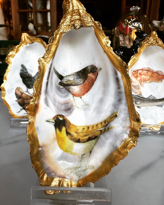 Gouden oester - Vogels 2x