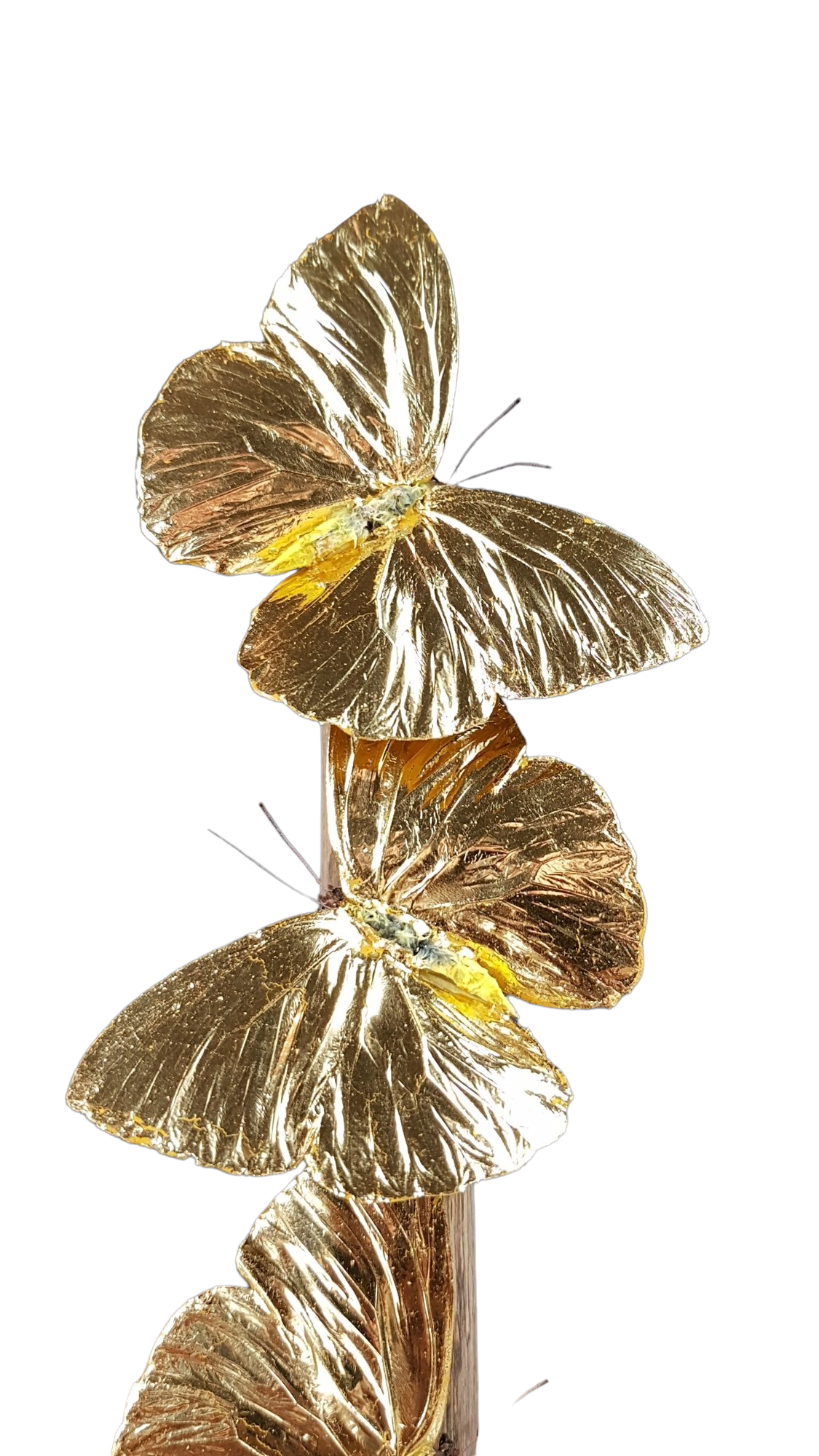 24-karaats gouden Phoebis Philea 3x